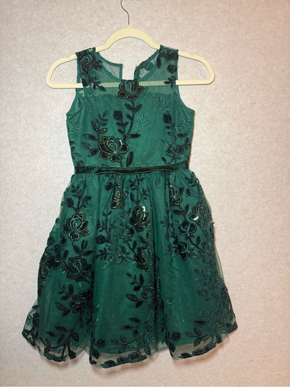 Rare Editions Little Girls Hunter Green Sequin Burnout Velvet Dress Kids SZ 10